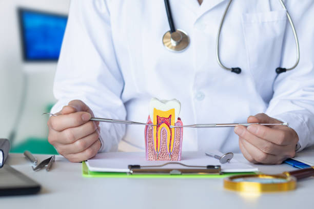 Best Same-Day Emergency Dental Services in Port Dickinson, NY